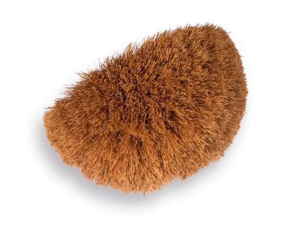 Afbeelding - https-www-ez-catalog-nl-Asset-6a1f18a8df174d16832baa15a356f9ad-ImageFullSize-1490900-1-jpg